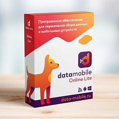 ПО DataMobile, версия Online Lite в Ульяновске